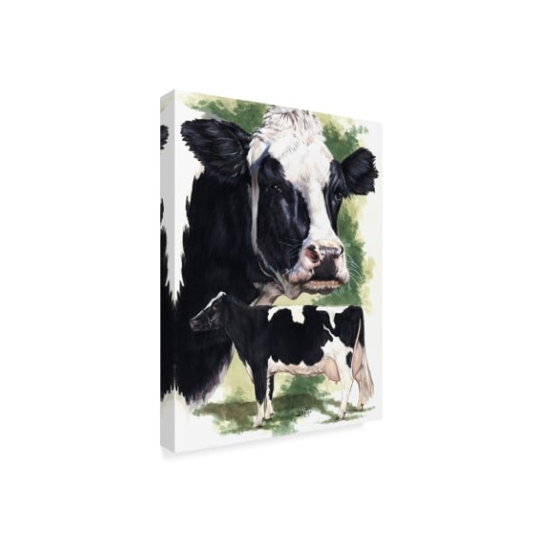 Barbara Keith 'Holstein Cow' Canvas Art,24x32